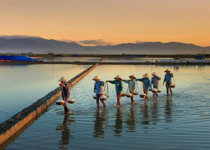 Wujud Nyata Keberpihakan Pada UMKM, BRI Salurkan KUR Rp54,9 Triliun Hingga April 2025
