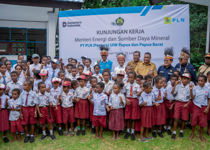 Program Lisdes Kementerian ESDM Percepat Pemerataan Akses Listrik PLN di Papua