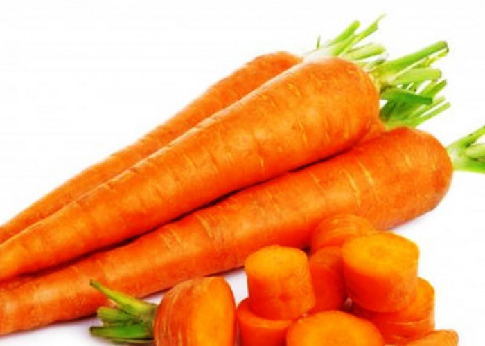 Kesehatan Terbungkus dalam Warna Oranye yang Menyegarkan dari Sayuran Wortel