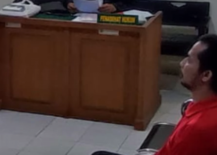 Menguak Keadilan dalam Kasus Febry Fadly Perspektif Plea Bargain dan Semangat Pemberantasan Narkotika