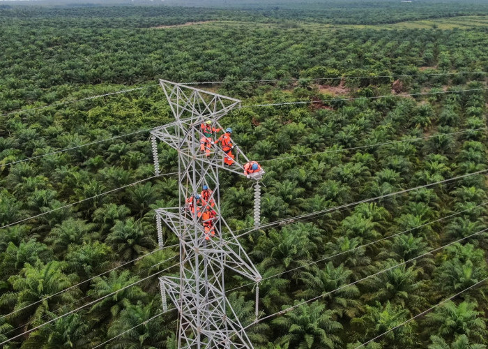 PLN Dorong Interkoneksi ASEAN Power Grid untuk Akselerasi Transisi Energi Bersih