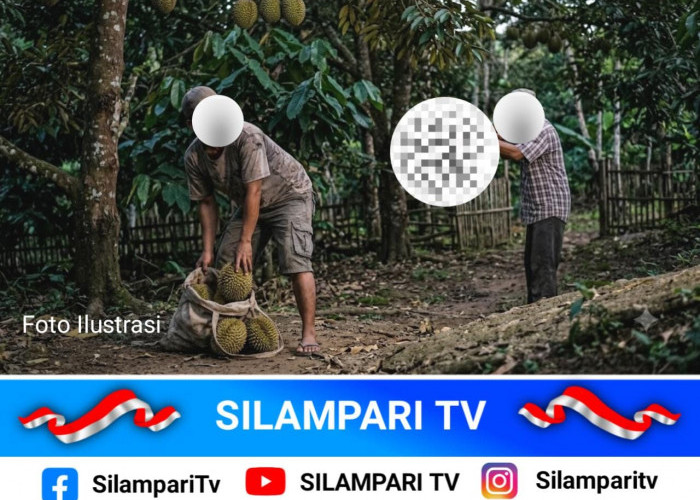 Heboh! Warga Lubuklinggau Ditembak Pemilik Kebun Saat Diduga Hendak Ambil Durian
