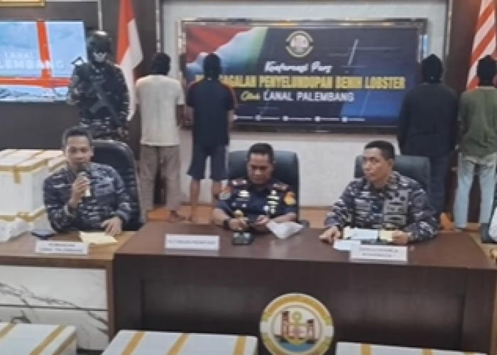 TNI AL Palembang Berhasil Menggagalkan Penyelundupan Ratusan Ribu Benih Baby Lobster Bernilai Miliaran Rupiah
