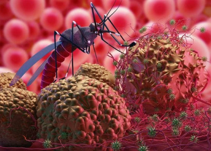 Mengulas Penyakit Mematikan MALARIA ! Awas Nyamuk Ini Berkeliaran di Sekitar Anda