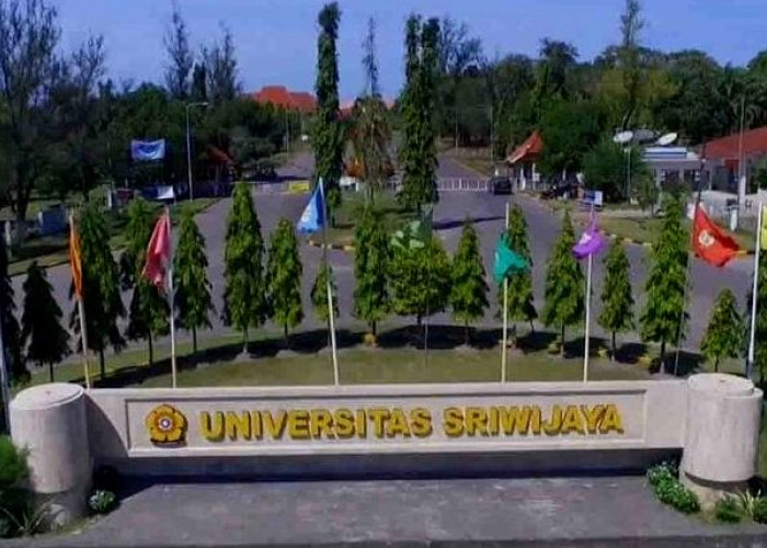 Pengumuman SNBP 2025 Universitas Sriwijaya: Link Daftar Ulang dan Tahapan Selanjutnya