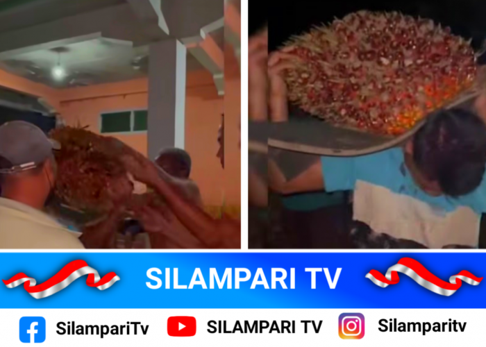 Ketahuan Nyolong Sawit, Pria di Musi Rawas Dipaksa Pikul Tandan Keliling Desa