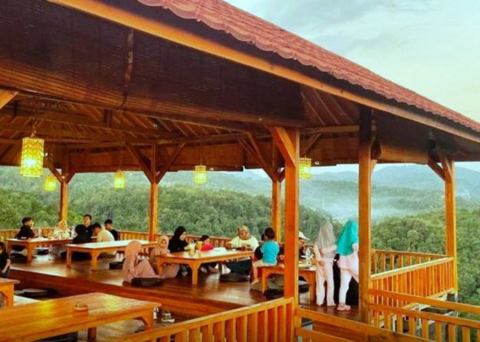 Hobi Jalan-Jalan? Kunjungi Bukit Durian Sagara, Rekomendasi Agro Wisata Alam yang Memukau