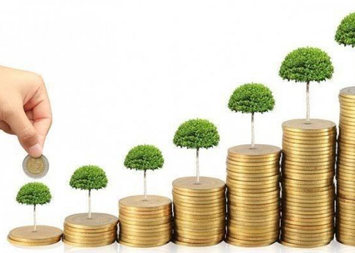 Investasi Cara Paling Ampuh Membangun Kekayaan, Berikut 15 Tips Investasi Agar Tidak Zonk!