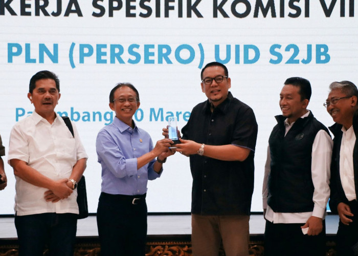 PLN UID S2JB Paparkan Kesiapan Pasokan Listrik pada Kunjungan Spesifik Komisi VII DPR RI di Palembang