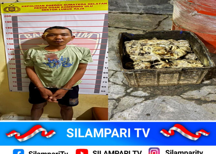 Pencurian Getah Karet Resahkan Warga OKU, Terduga Pelaku Diamankan Polisi