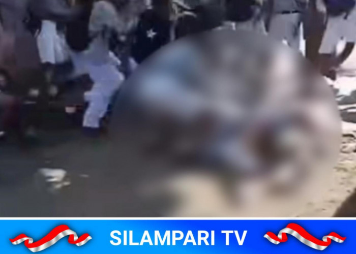 Terkuak! Ini Penyebab Viral Bullying Antar Pelajar SMP di Lubuklinggau