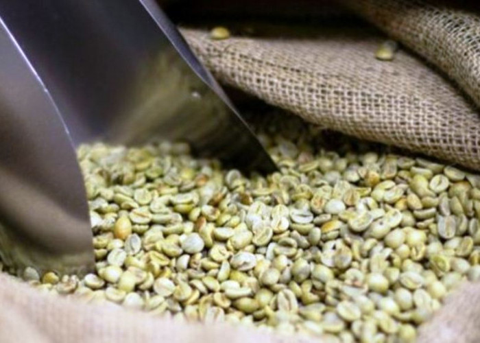 Bantu Turunkan Berat Badan, Berikut Panduan Cara Minum Green Coffee untuk Diet