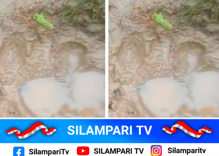 Viral Jejak Diduga Harimau di Musi Rawas, BKSDA Pastikan Bukan Milik Harimau
