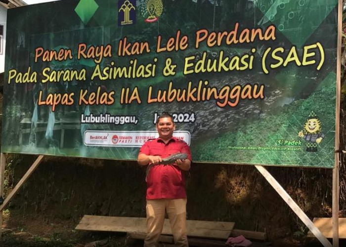 Lapas Kelas IIA Lubuklinggau Kembali Lakukan Panen Raya Ikan Lele di SAE, Ini Harapan Kalapas