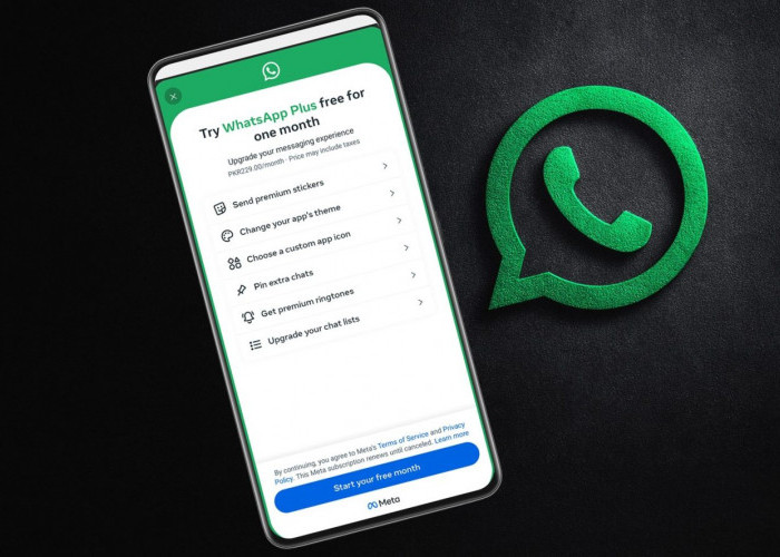 WhatsApp Uji Coba Layanan Premium, Hadirkan Fitur Personalisasi Lewat Paket Berlangganan