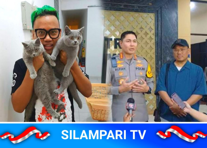 Dua Kucing Uya Kuya Akan Diserahkan Kembali Setelah Dinyatakan Sehat