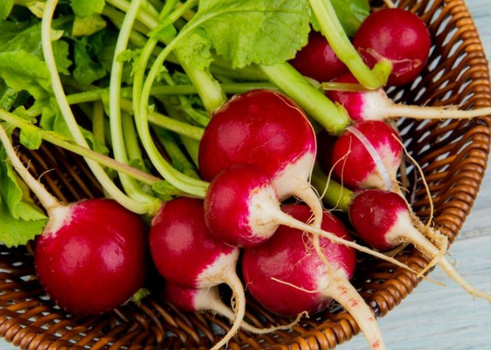 4 Jenis Sayuran Merah yang Bermanfaat Bagi Kesehatan, Salah Satunya untuk Kesehatan Gigi
