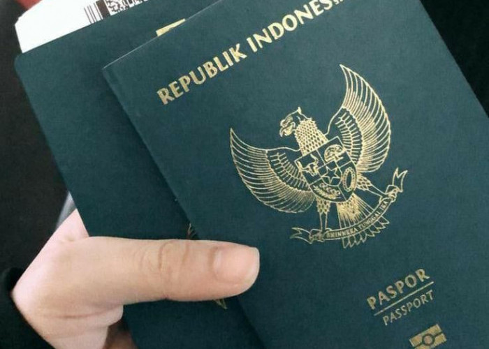 3 Warna dan Makna Paspor Indonesia yang Menarik Untuk Diketahui
