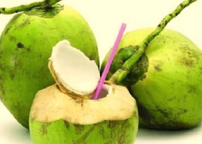 6 Minuman Pembakar Lemak untuk Turunkan Body Fat dalam Sebulan