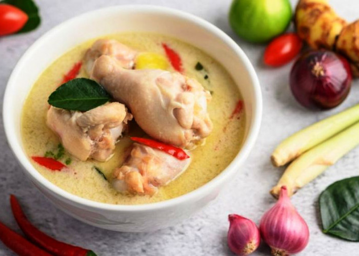 Cocok untuk Menu Buka dan Sahur, Berikut Resep Opor Telur Tahu Gurih dan Sederhana Meskipun Tanpa Santan