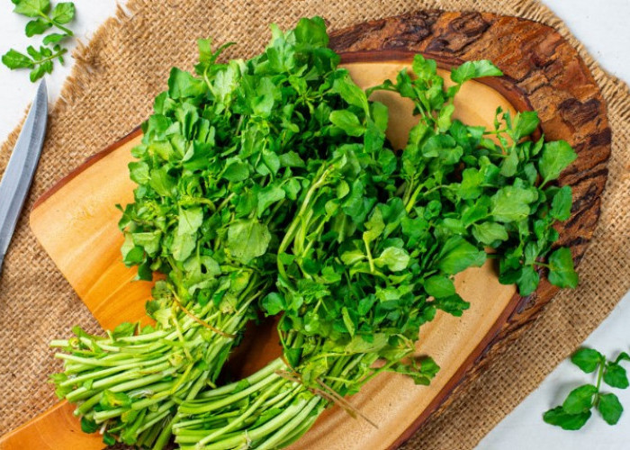 Rahasia Sehat dari Selada Air: Sayuran Sederhana dengan Segudang Manfaat