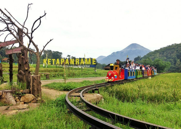 Lewat Program Desa BRILiaN, BRI Dorong Terwujudnya Desa Wisata sebagai Destinasi Unggulan Daerah