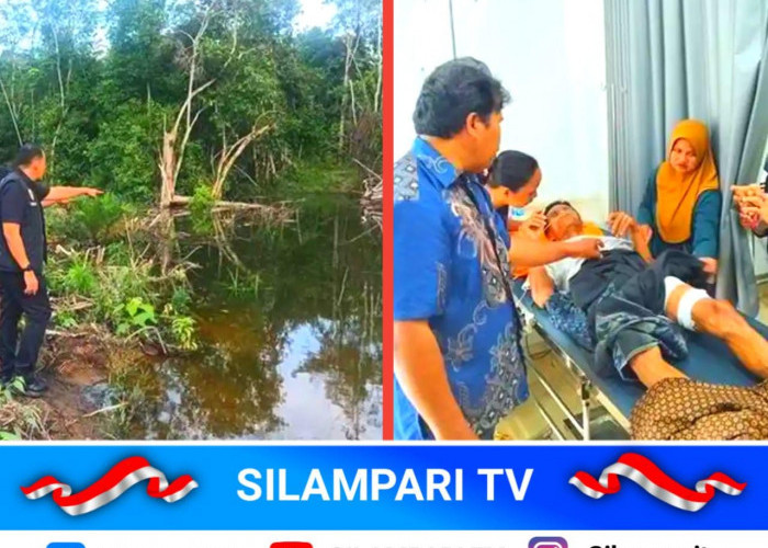 Cari Pakan Ternak, Warga Purwodadi Musi Rawas Diserang Buaya di Sungai Lesing