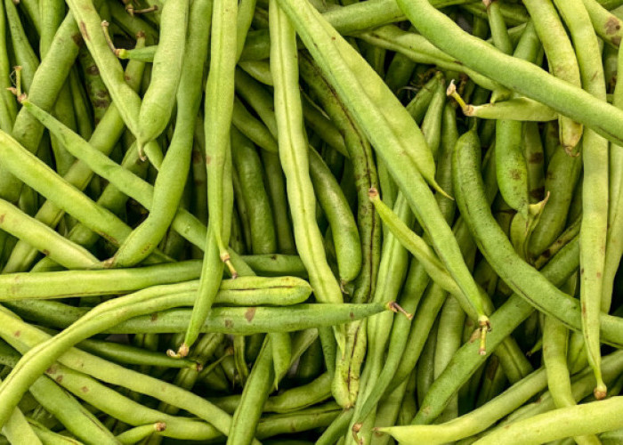Kaya Nutrisi, Ini Kandungan Vitamin dan Manfaat Buncis untuk Kesehatan Tubuh