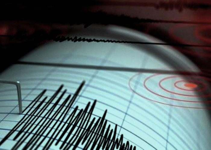 Gempa di Bengkulu dengan Kekuatan 3,8 M, Hari Ini Jumat 17 Mei 2024