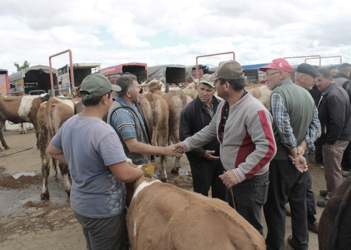 Memahami Perdagangan Tanpa Uang: Syarat Utama, Variasi Skema, dan Realitas Sistem Barter