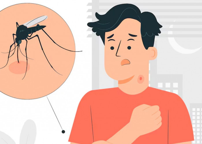 Demam Berdarah Dengue (DBD): Ancaman Serius Selama Musim Hujan