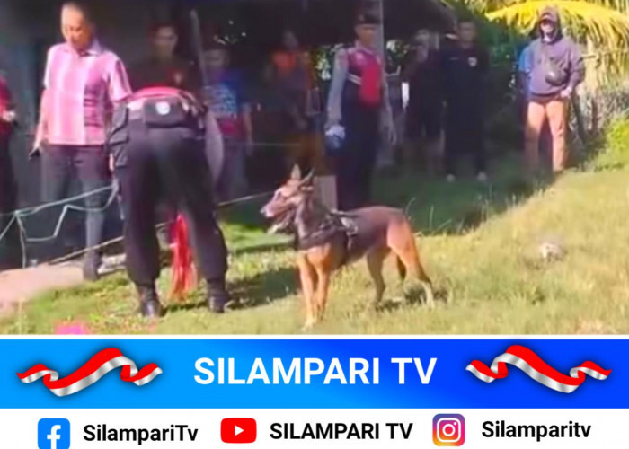 Pelaku Perampokan Emas Milik Lansia di Ogan Ilir Masih Diburu, Polisi Turunkan Anjing Pelacak K9