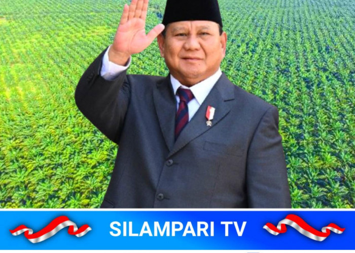 Prabowo Rencana Tambah Sawit di Papua Tuai Kritik, Pengamat Soroti Dampak Ekologis