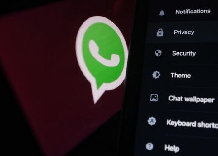Cara Ampuh Hentikan Telepon WhatsApp Tanpa Harus Blokir Kontak