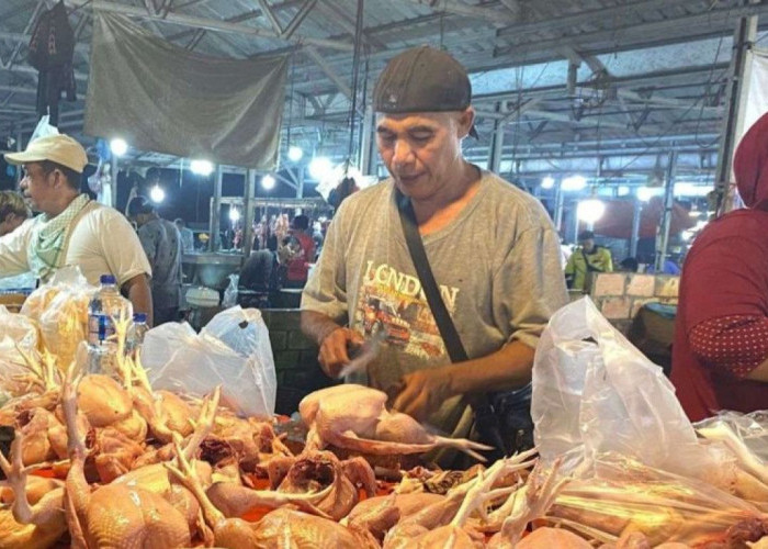 Harga Daging Ayam di Palembang Naik Jadi Rp33 Ribu per Kg, Efek Permintaan Program MBG Mulai Terasa