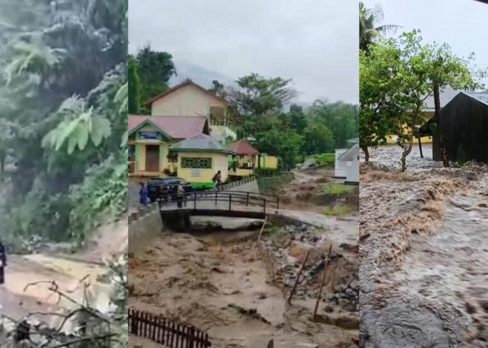 Berikut Perkembangan Sementara Kejadian Bencana di Sumbar: Pohon Tumbang, Tanah Longsor Hingga Banjir