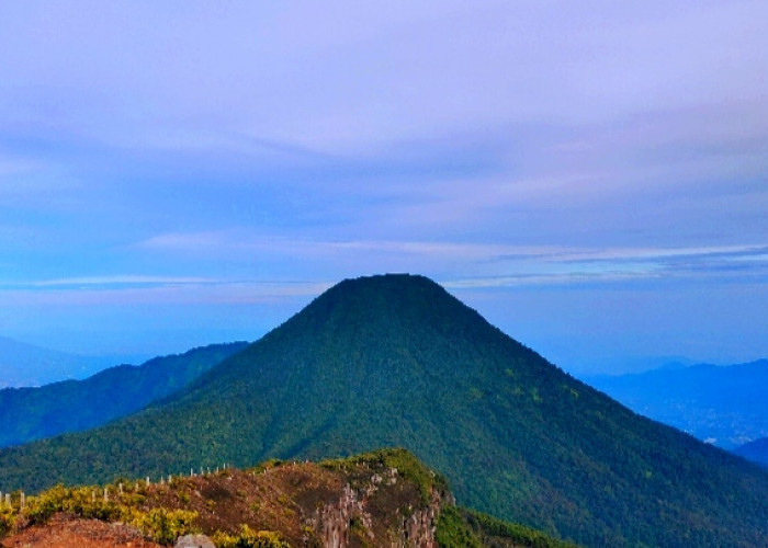 Tragedi Gunung Pangrango: 13 Pendaki Tersesat, Minggu Sore Menjadi Komunikasi Terakhir Mereka
