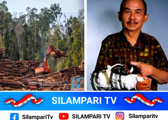 Kisah Jurnalis yang Kehilangan Jemari Karena Mengungkap Penebangan Hutan di Kalimantan
