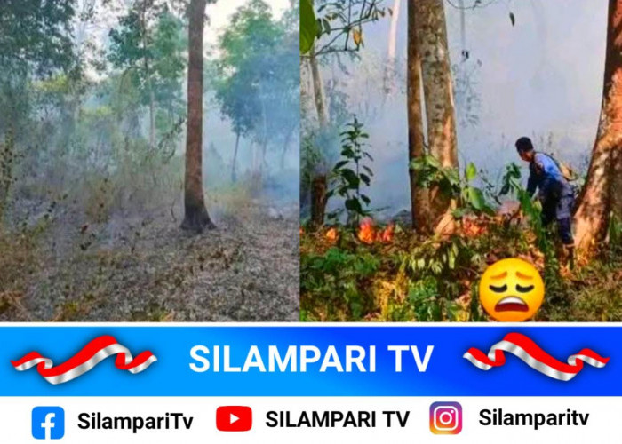 Karhutla Bukit Sulap Lubuklinggau Diduga Disengaja, Ini Temuan Petugas