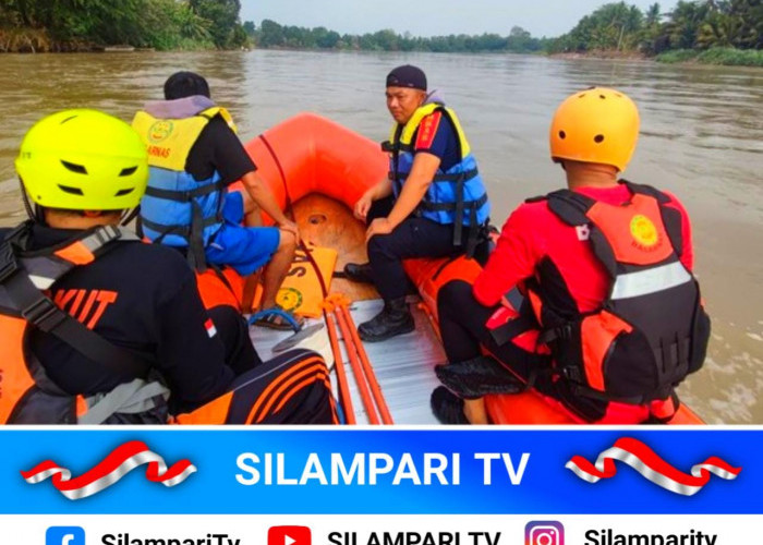 Rapi Pratama (9) Tenggelam di Sungai Komering, Tim SAR Sisir hingga 3 Kilometer