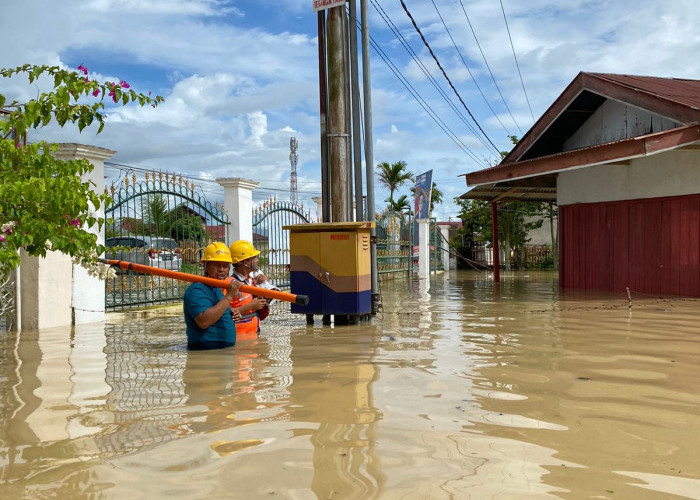 Waspada Hujan Lebat, Simak Beberapa Langkah Antisipasi Bahaya dari PLN