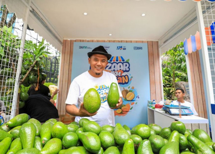 Berkat Program Pemberdayaan BRI Klasterku Hidupku, Petani Ini Berhasil Kembangkan Budidaya Alpukat