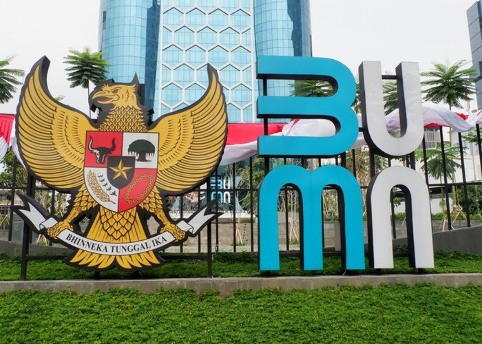 Danantara Siapkan Restrukturisasi Besar, Jumlah BUMN Akan Dipangkas Drastis