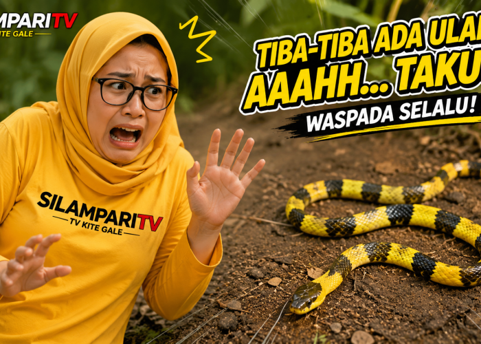 5 Cara Mengenali Ular Berbisa dan Tidak Berbisa, Penting untuk Keselamatan Keluarga