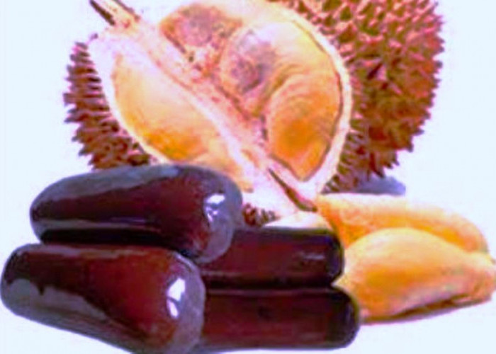 Mengolah Durian Menjadi Jajanan Dodol yang Lezat