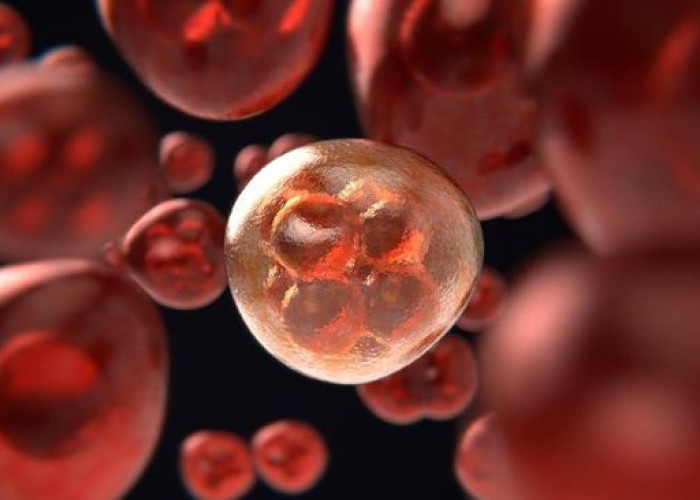 WHO Peringatkan Kasus Kanker Global Bisa Tembus 35 Juta per Tahun pada 2050