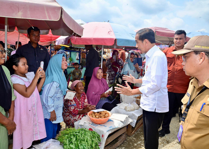 Pastikan Harga Bahan Pokok Stabil, Presiden Jokowi Tinjau Pasar Lawang Agung Muratara