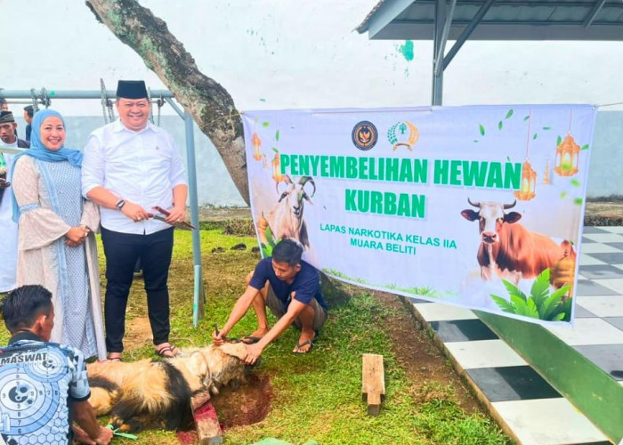 Semangat Idul Adha, Lapas Narkotika Kelas IIA Muara Beliti Laksanakan Penyembelihan Hewan Qurban di Dalam Lapa