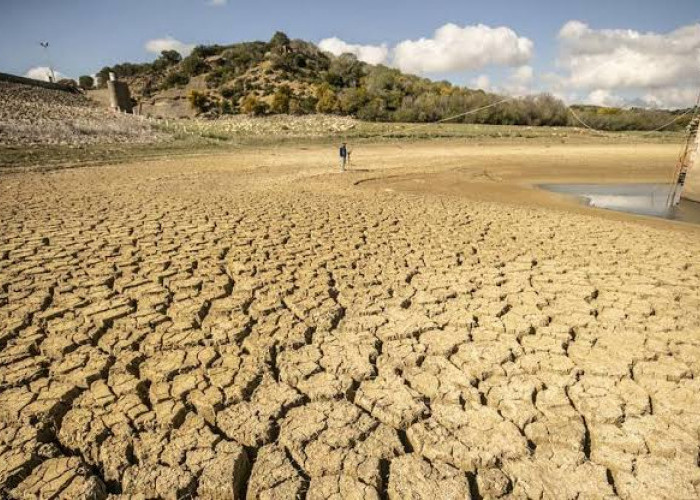 El Nino Menguat, WMO Peringatkan Ancaman Gelombang Panas, Kekeringan, dan Cuaca Ekstrem Global