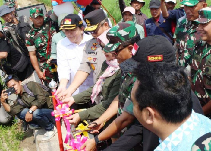 Dukung Ketahanan Pangan Nasional, PLN Luncurkan Inovasi Program Electrifying Agriculture